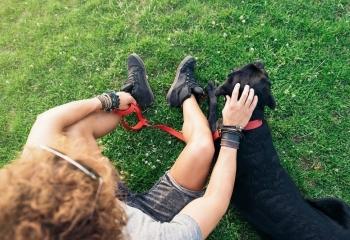 Antidrag sele banner