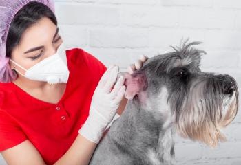 Öronrengöring banner