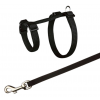 Trixie Harness & Leash