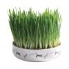TRIXIE Kattgräs Med Keramikskål
