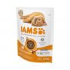 IAMS Kitten