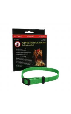 Petwise Faestinghalsband foer Hund