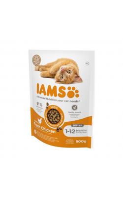 iams kitten