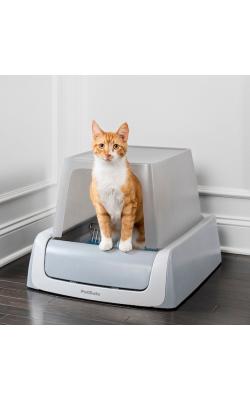 petsafe scoopfree sjalvrengorande kattlada med lock