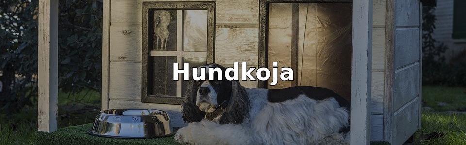 Bäst Hundkoja