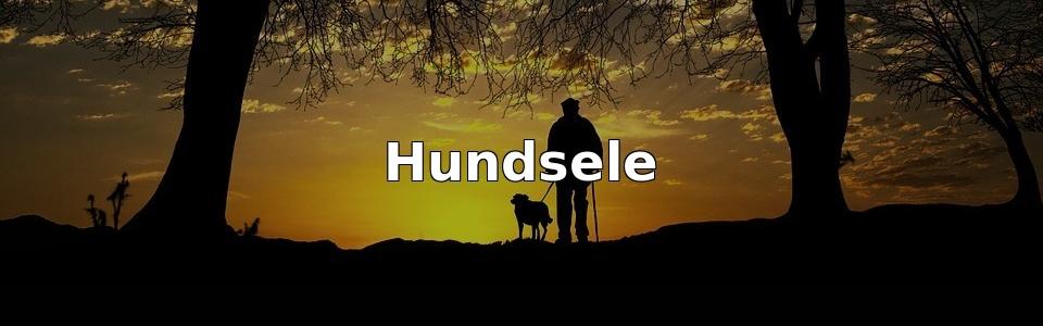 Bäst Hundsele