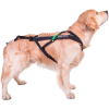 Non-Stop Dogwear Freemotion Harness