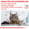 Royal Canin Veterinary Diets Cat Derma Anallergenic torrfoder för katt 2 kg