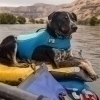 RuffWear Float Coat Hundflytväst Blå