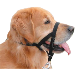 Halti Headcollar Nosgrimma