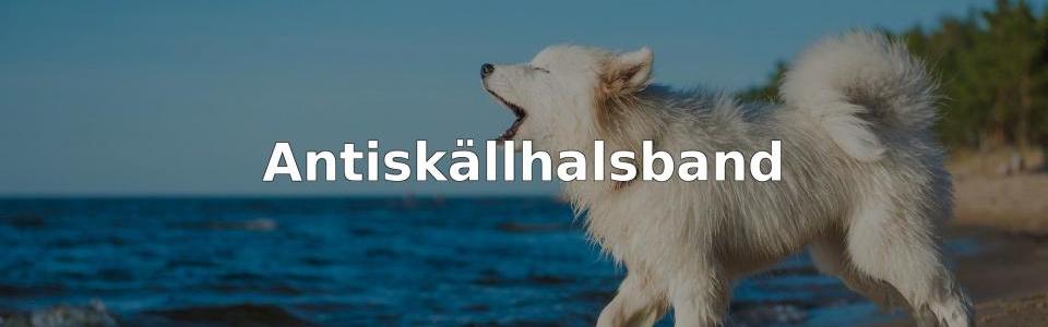 Bäst Antiskällhalsband