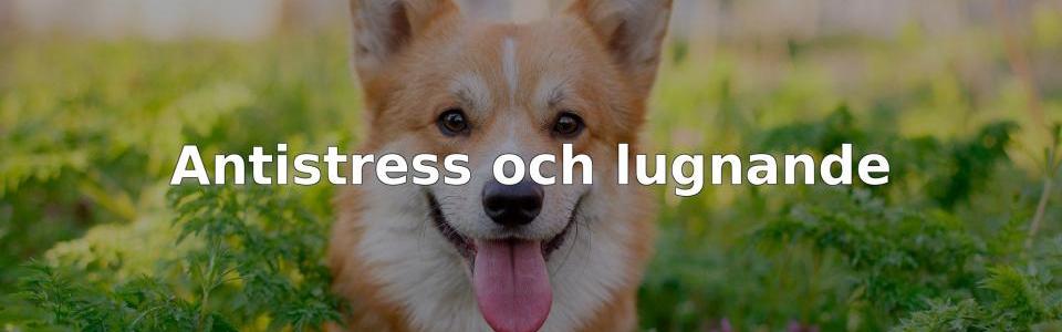 Bäst Antistress och lugnande