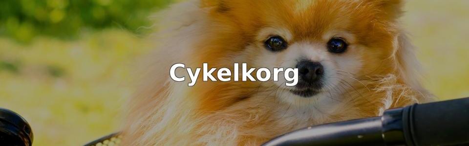 Bäst Cykelkorg