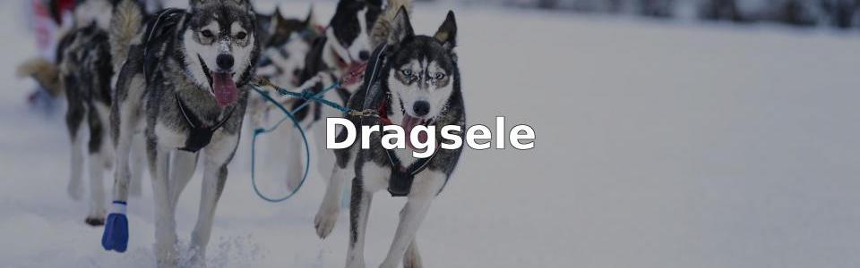 Bäst Dragsele