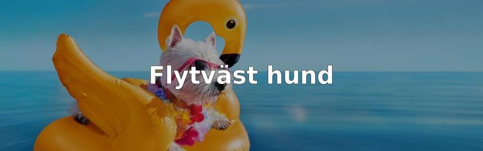 Bäst Flytväst hund