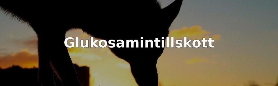 Bäst Glukosamintillskott