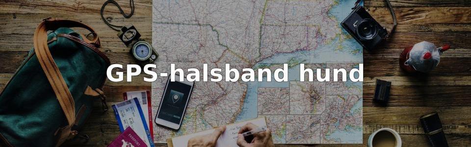 Bäst GPS-halsband hund