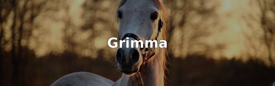 Bäst Grimma