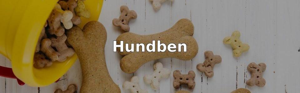 Bäst Hundben
