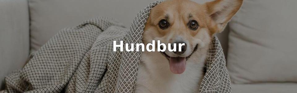 Bäst Hundbur
