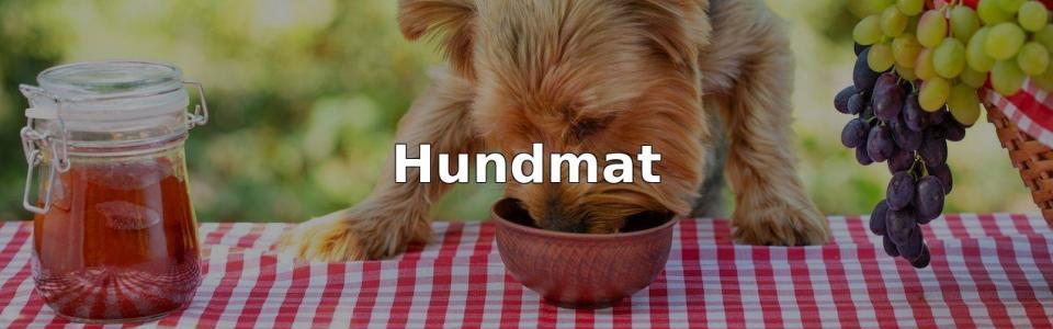 Bäst Hundmat