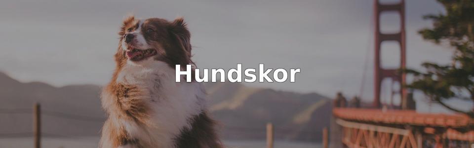 Bäst Hundskor