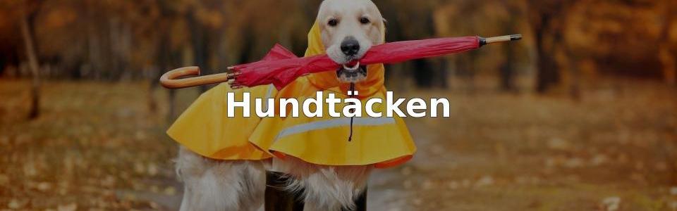 Bäst Hundtäcken