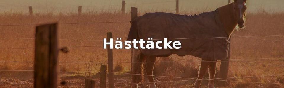 Bäst Hästtäcke