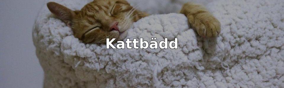 Bäst Kattbädd