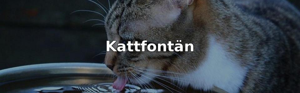 Bäst Kattfontän