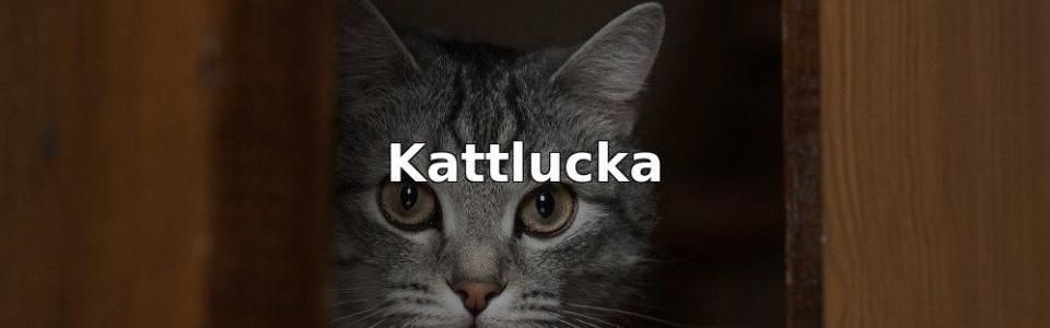 Bäst Kattlucka
