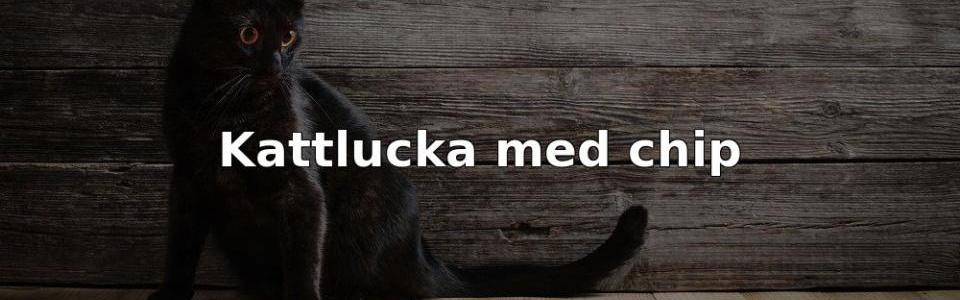 Bäst Kattlucka med chip