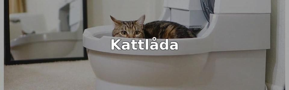 Bäst Kattlåda