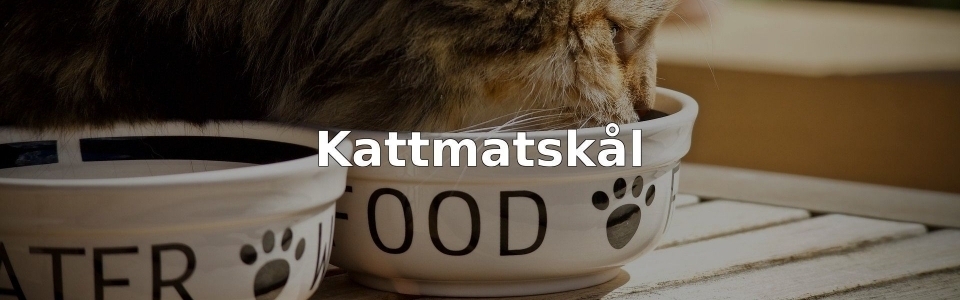 Bäst Kattmatskål
