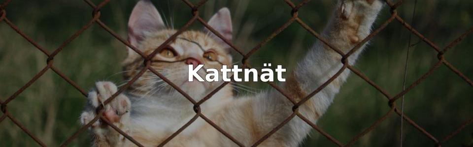 Bäst Kattnät