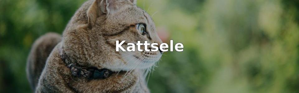 Bäst Kattsele