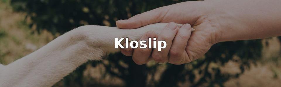 Bäst Kloslip