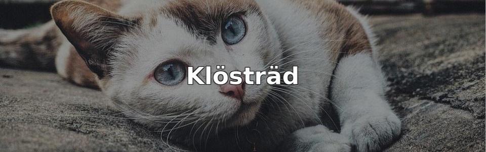 Bäst Klösträd