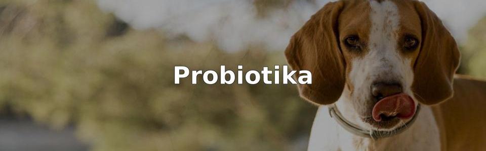 Bäst Probiotika