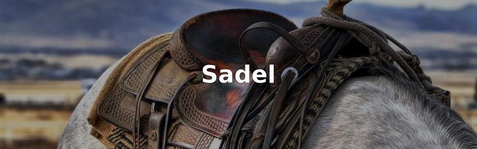 Bäst Sadel