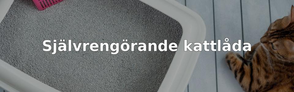 Bäst Självrengörande kattlåda