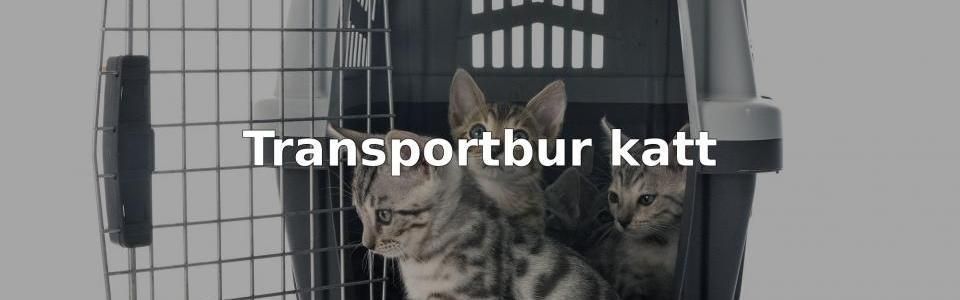 Bäst Transportbur katt