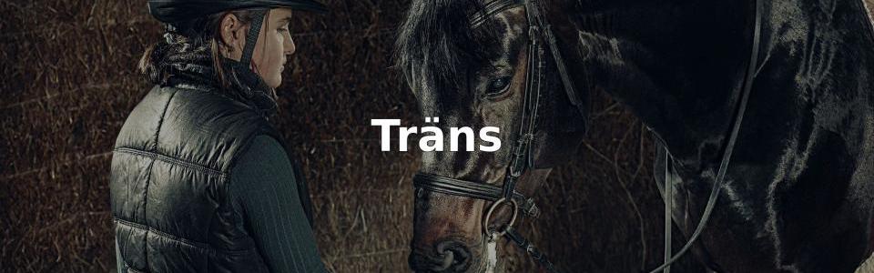 Bäst Träns